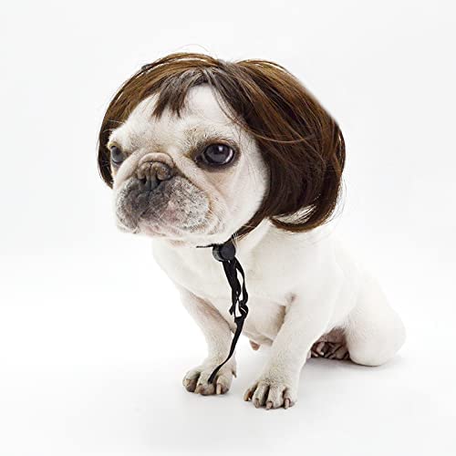 Funny Dog Wig | Halloween Pet Costume