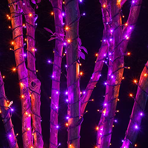 Purple & Orange Halloween LED String Lights | 100FT String Lights with 8 Lighting Modes