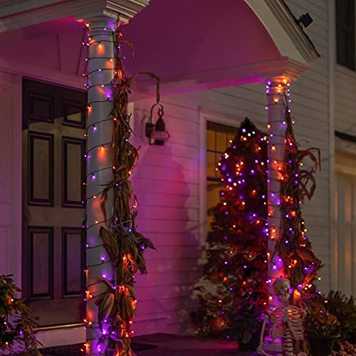 Purple & Orange Halloween LED String Lights | 100FT String Lights with 8 Lighting Modes