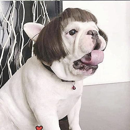 Funny Dog Wig | Halloween Pet Costume