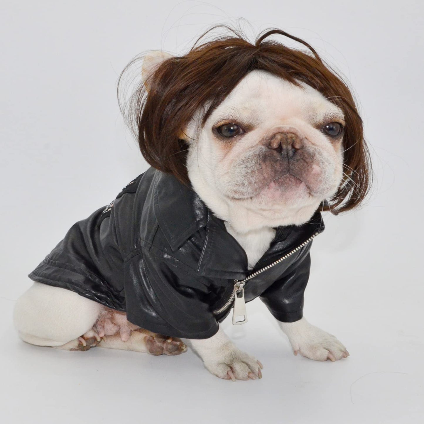 Funny Dog Wig | Halloween Pet Costume